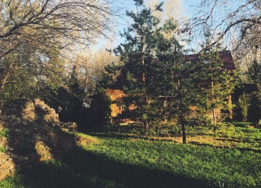 Пенсионер исполосовал соседку ножом из-за тени деревьев на севере Волгограда
