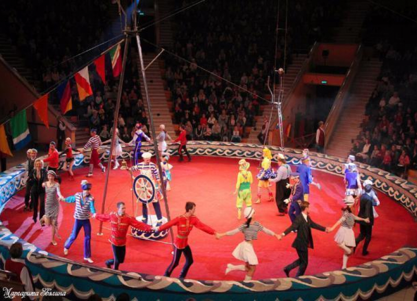 Билеты в Волгоградский цирк могут подорожать в 2 раза 
