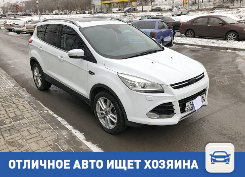 Идеальный Ford Kuga ищет нового хозяина 