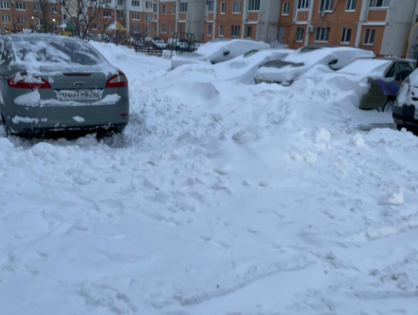 Покажи снегопад. Снегопад в Воронеже. Михайловское снег показать.