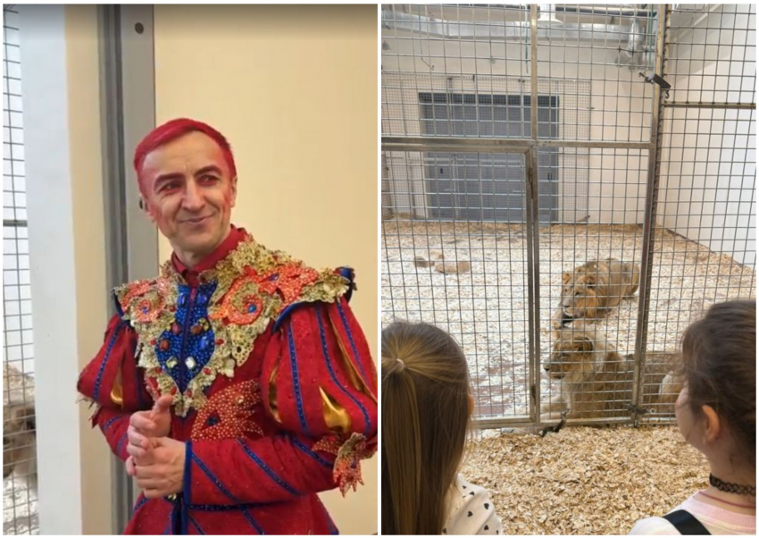 Закулисье волгоградского цирка показали зрителям после ремонта за два миллиарда