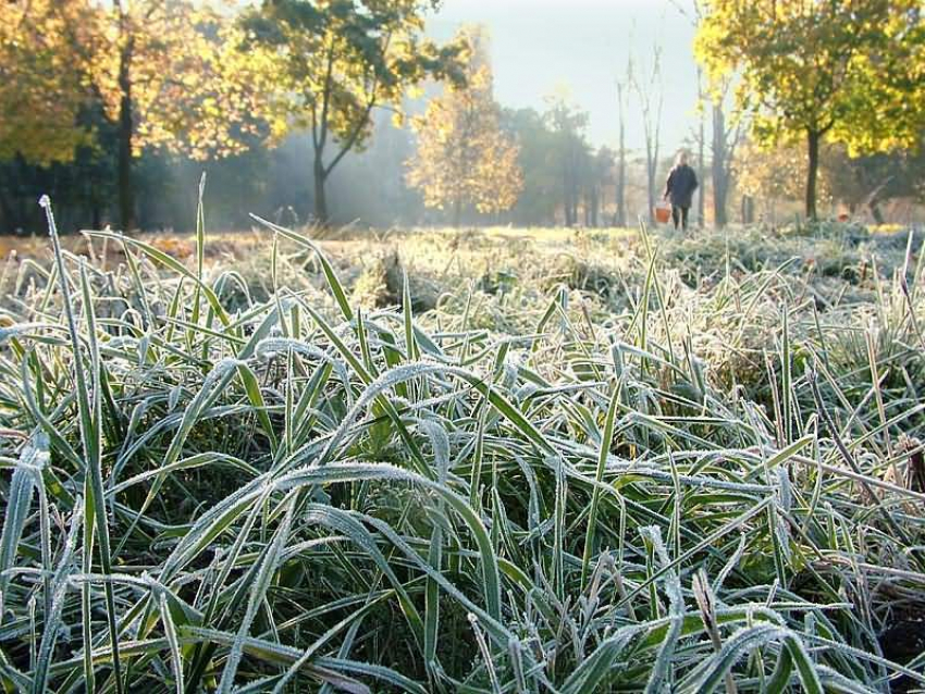 В Волгоградской области ожидаются заморозки и пыльные бури