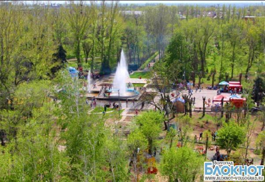 В Волгоградской области фиктивная обрезка деревьев стоила бюджету 395 тысяч рублей