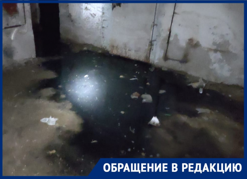 «Сидим в квартирах с комарами таких размеров, каких свет не видывал»: волгоградцы показали затопленный канализацией дом