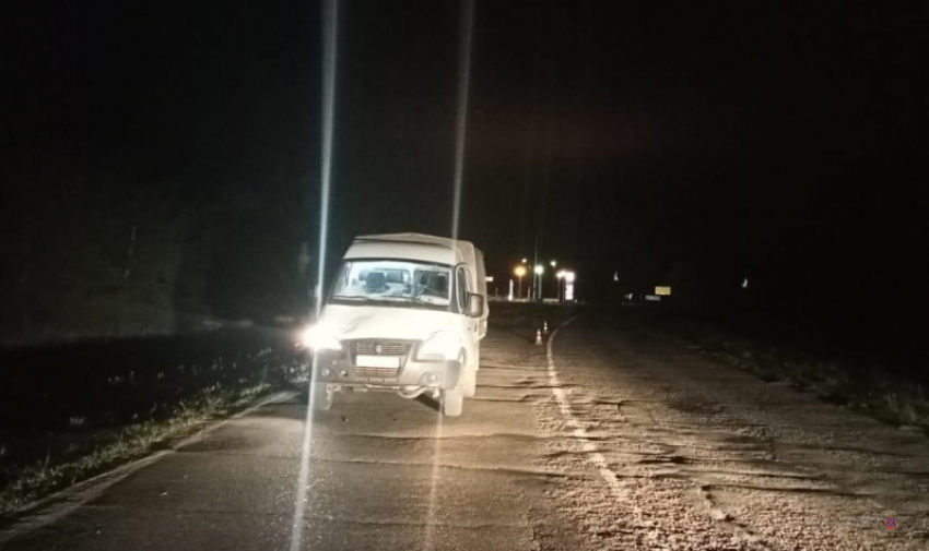 Водитель «Газели» насмерть сбил мужчину на трассе в Волгоградской области