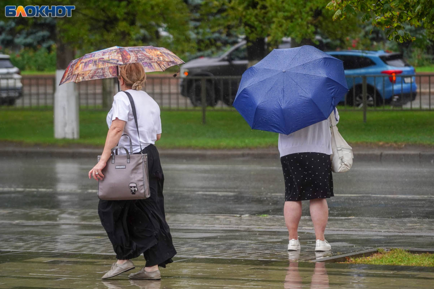 В Волгограде за ночь выпадет больше месячной нормы дождя 