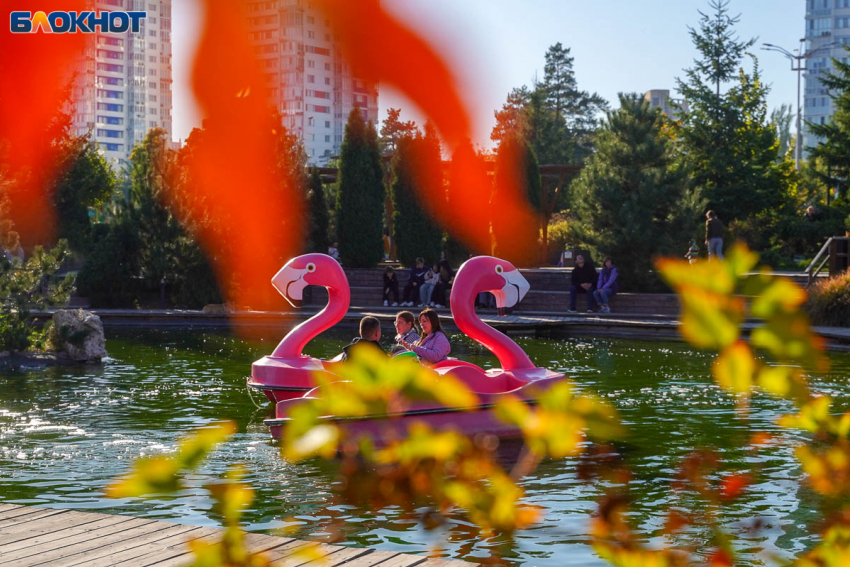 С аномального тепла стартует ноябрь в Волгограде