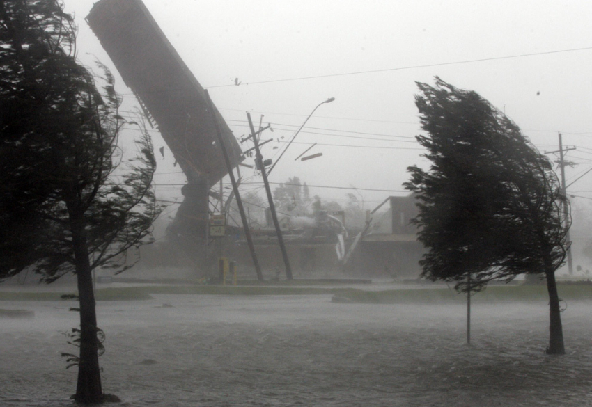 Ночной ураган вырывал деревья и бил стекла в Волгограде