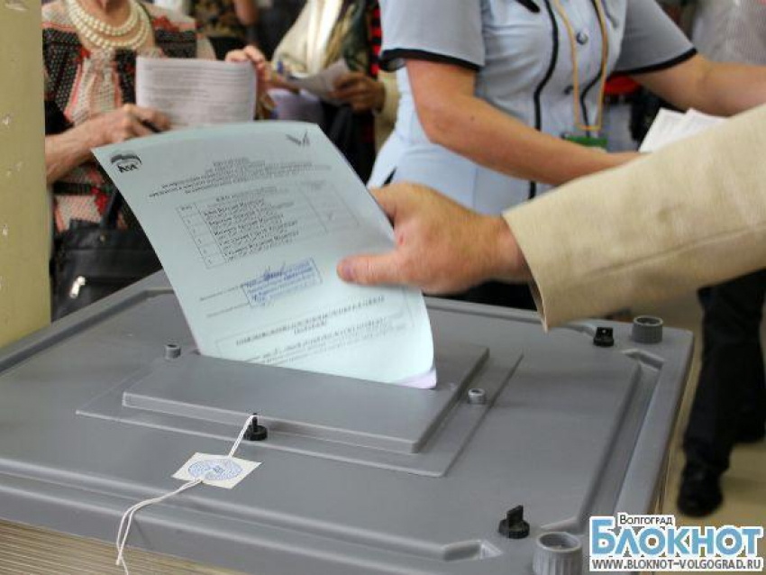 В Волгоградской области невероятно высокая явка избирателей на праймериз