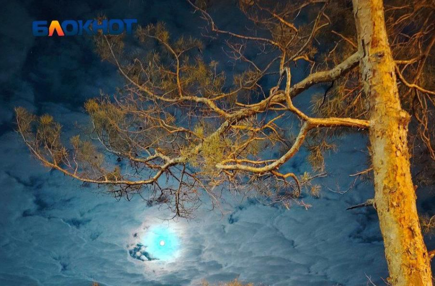 Фейерверк запустили после массированной атаки ВСУ на Волгоград