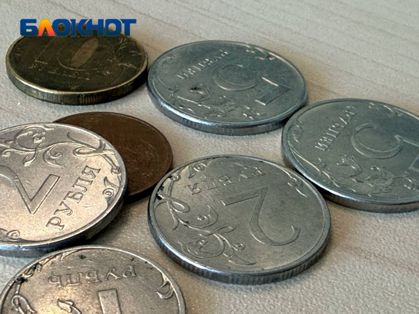 Возможное падение доллара по отношению к рублю прокомментировал волгоградский экономист 