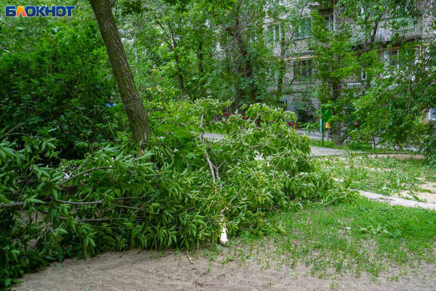 Экстренное предупреждение объявило МЧС в Волгоградской области