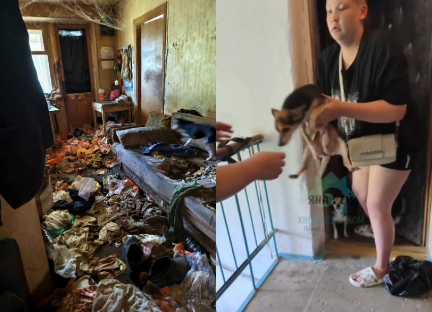 Квартиру-помойку умершего волгоградца показали волонтеры: здесь сидели запертыми 7 собак