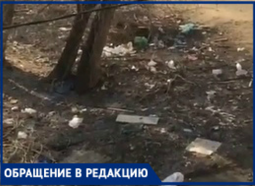 "Сами намусорили, а нам убирать?» - коммунальщики отказались разгребать ковер из мусора в Волгограде