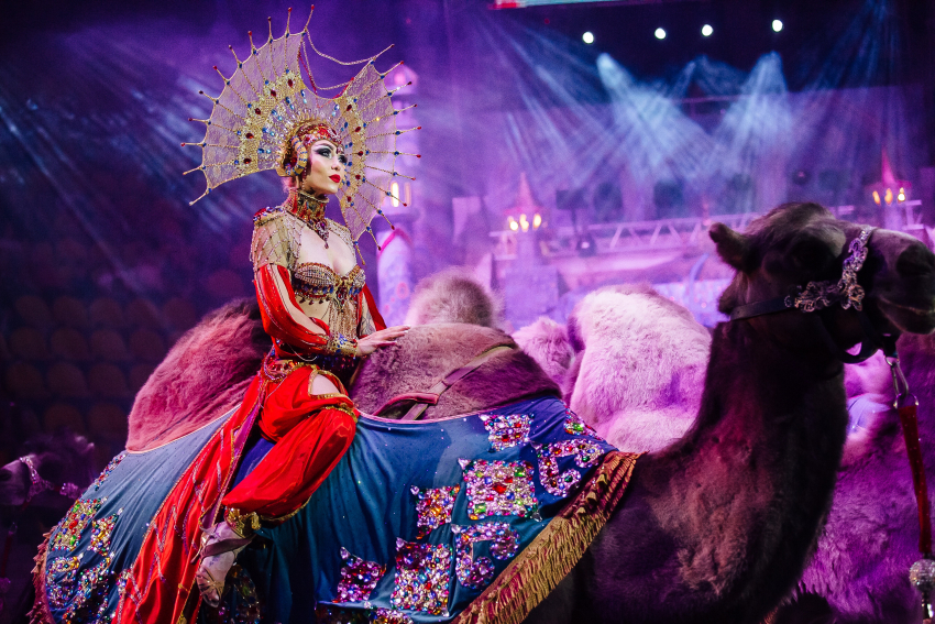 Впервые в Волгоградском цирке новое шоу Гии Эрадзе «Песчаная сказка» с участием титулованных артистов Росгсоцирка!