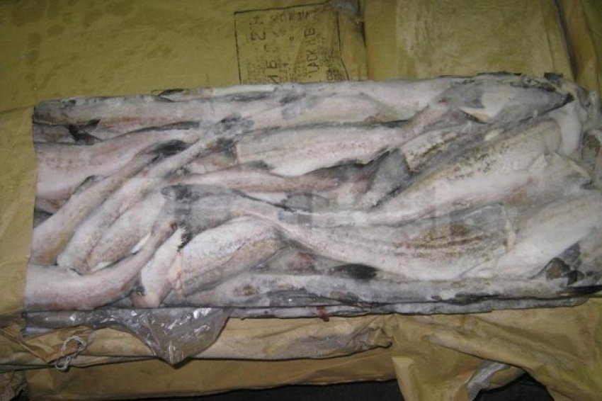 В школе под Волгоградом детей кормили незаконной рыбой на грязной кухне