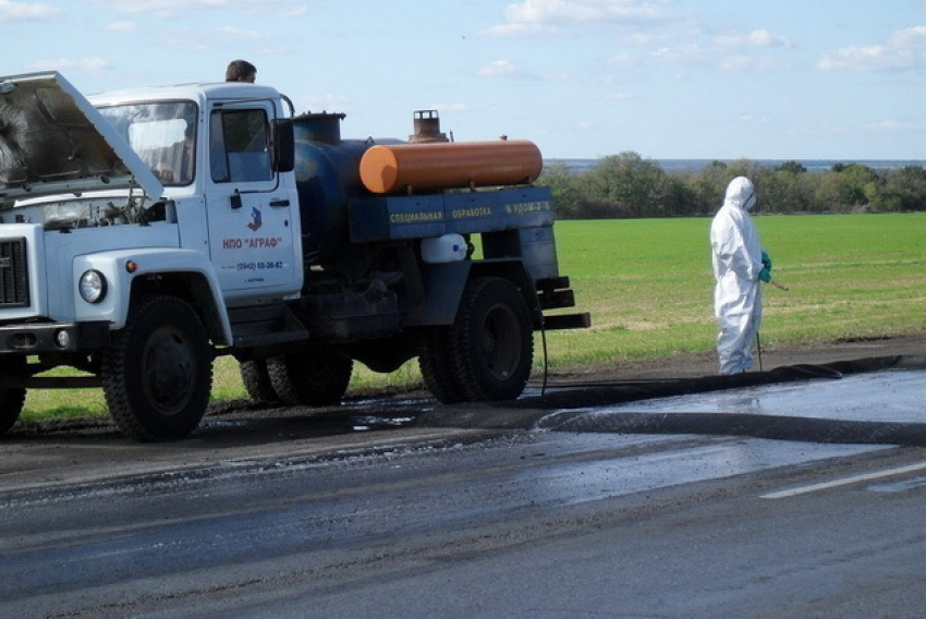 В регионе увеличат количество карантинных постов АЧС