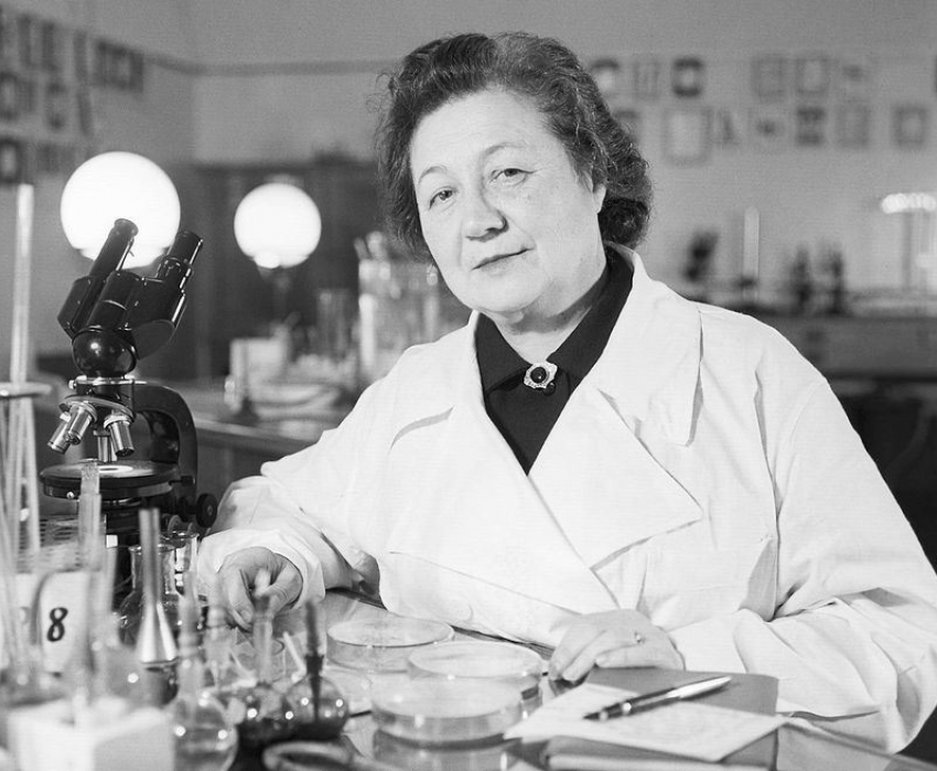 Сквер в Дзержинском районе Волгограда получит имя создательницы первого советского пенициллина