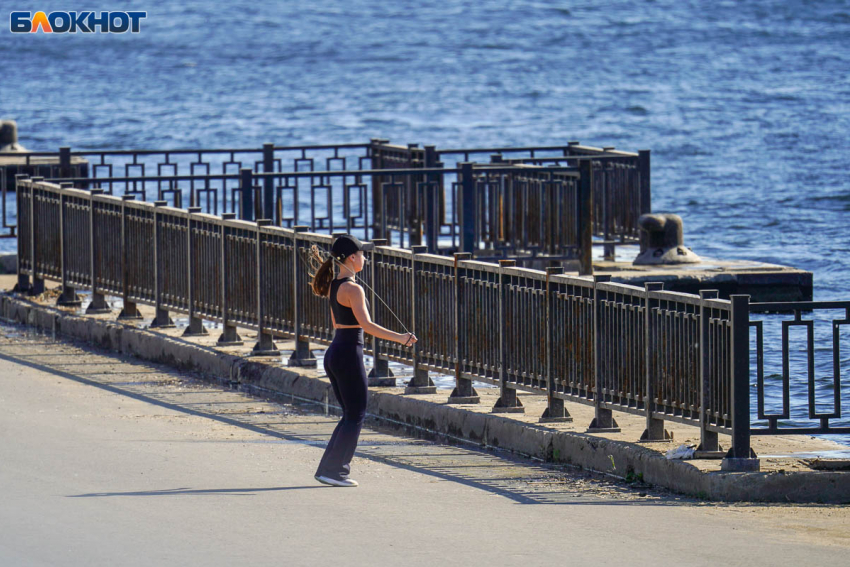 До +29 градусов и сильный ветер: какая погода ждет волгоградцев 28 мая