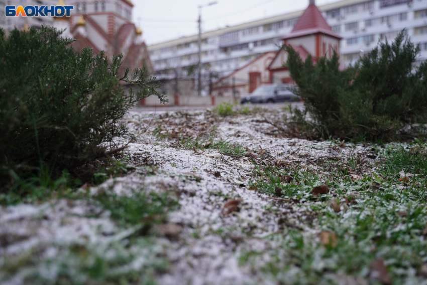 Гололедица и нулевая температура: какая погода ждет Волгоград 20 декабря
