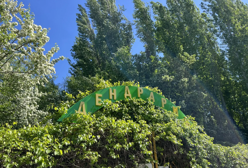 Знаменитый дендрарий Волгограда признали памятником природы 