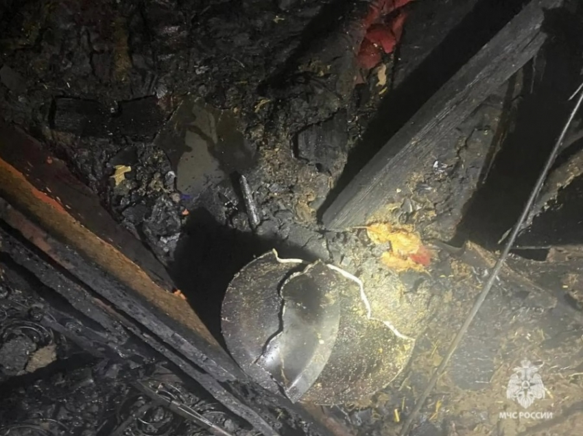 Мужчина заживо сгорел в доме под Волгоградом: жуткие фото с места трагедии