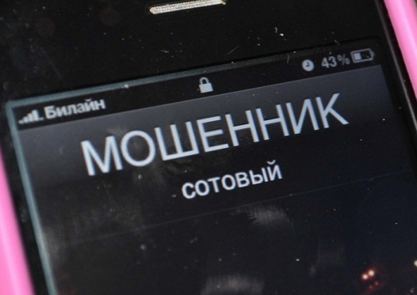 Волгоградскому студенту выдали за Samsung Galaxy S8+ коробку с батарейками и железной пилкой