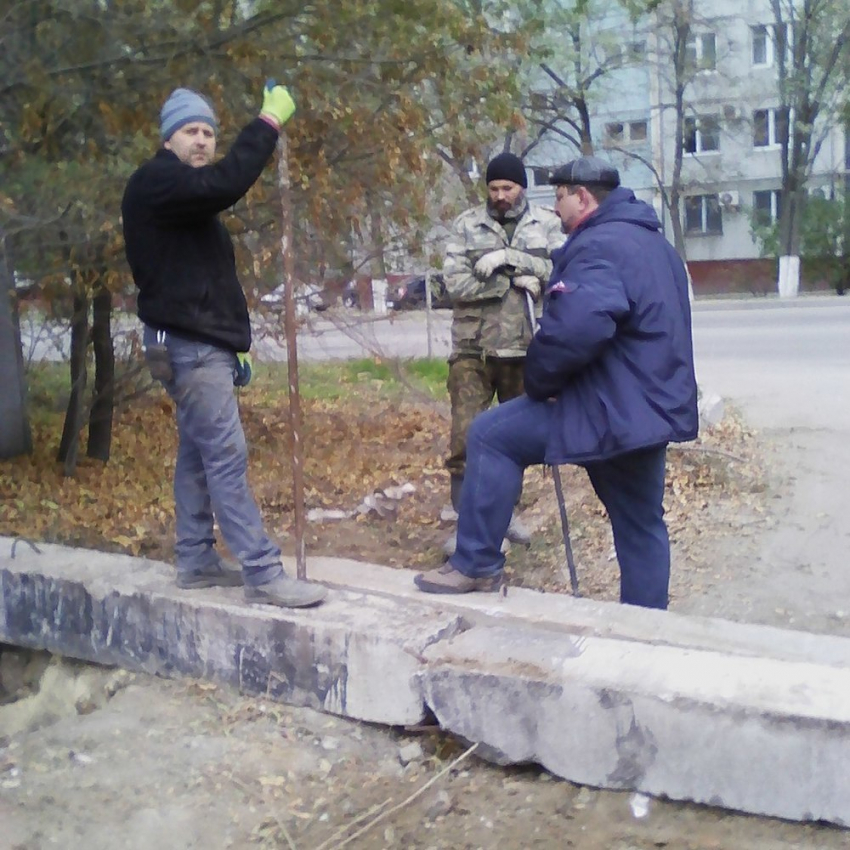 В Волгограде администрация сдала землю ГСК в аренду вместе с домами