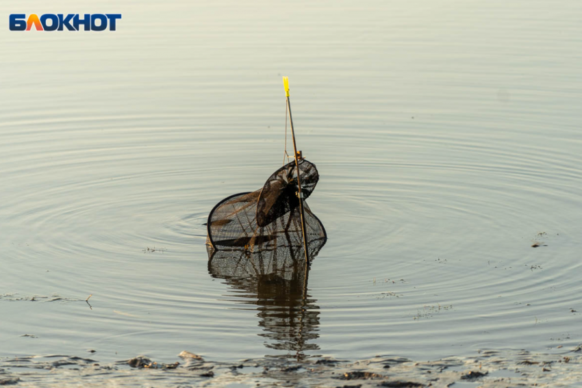 Массовые ограничения введут для рыбаков в Волгограде 