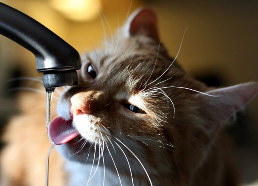 На двое суток оставили без воды жителей Красноармейского района Волгограда