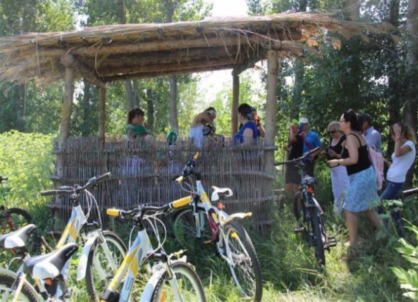В Волго-Ахтубинской пойме под Волгоградом открылся сезон велопрогулок
