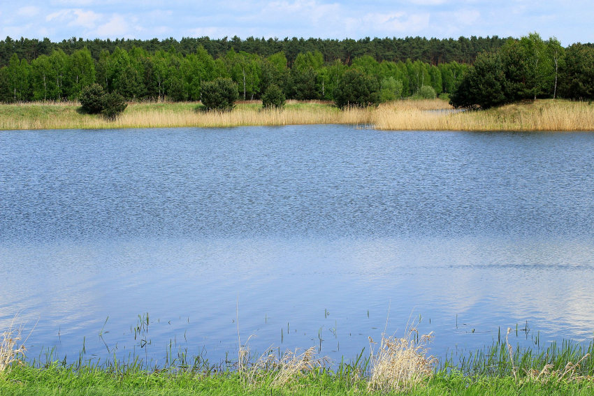 В Волгоградской области установят границы трех водоохранных зон