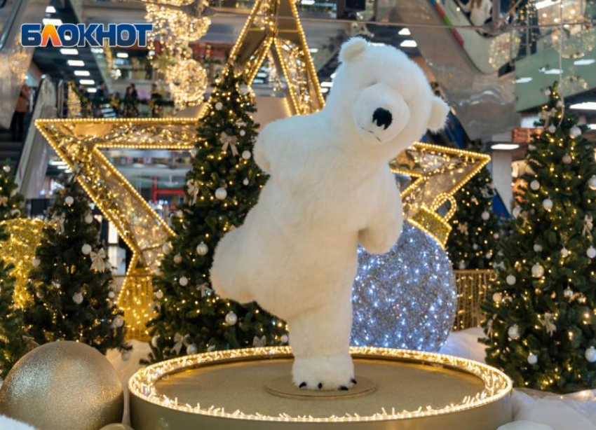 Как работают крупные торговые центры в Волгограде 31 декабря 