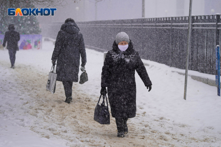 Пять погибших, 241 зараженный: данные о COVID-19 в Волгоградской области 27 января