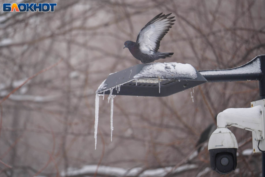 Высокое давление и легкий мороз: погода в Волгограде на 17 февраля