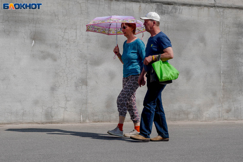 Идеальная погода для фото: синоптики обещают солнце и слабый ветер в Волгограде