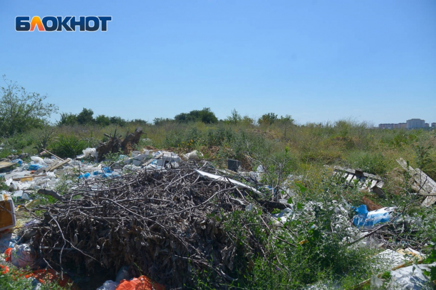 Волгоградского регоператора заставили вывозить оставшийся от уборки городов и сел мусор