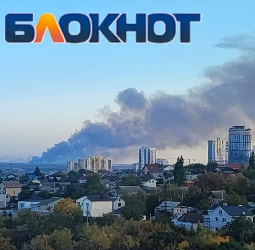 20 га полыхает на виду Волгограда в пойме