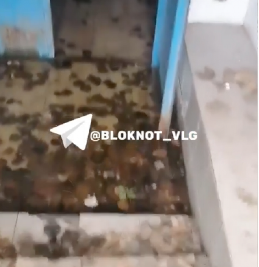 Извержение кипятка в МКД Волгограда сняли на видео 