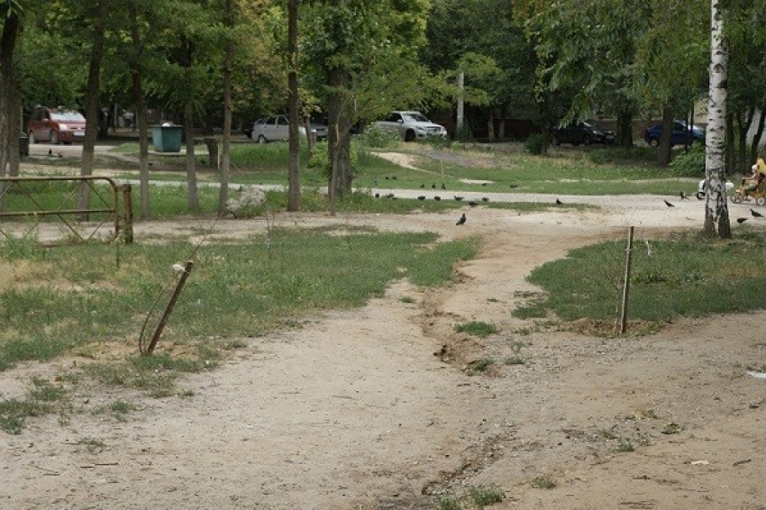 В Волгограде чиновники нашли виновного в уничтожении сквера на Тулака