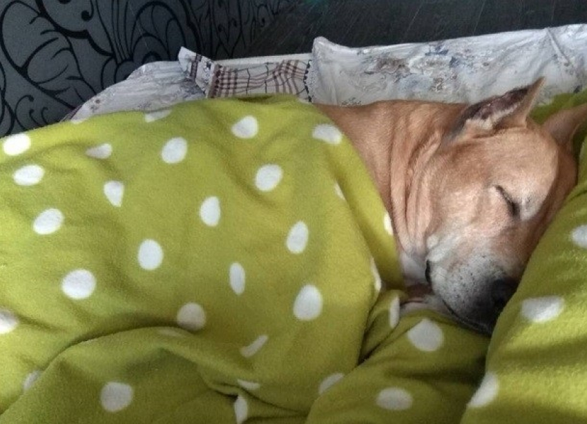 В День работников леса в Волгограде будет прохладно