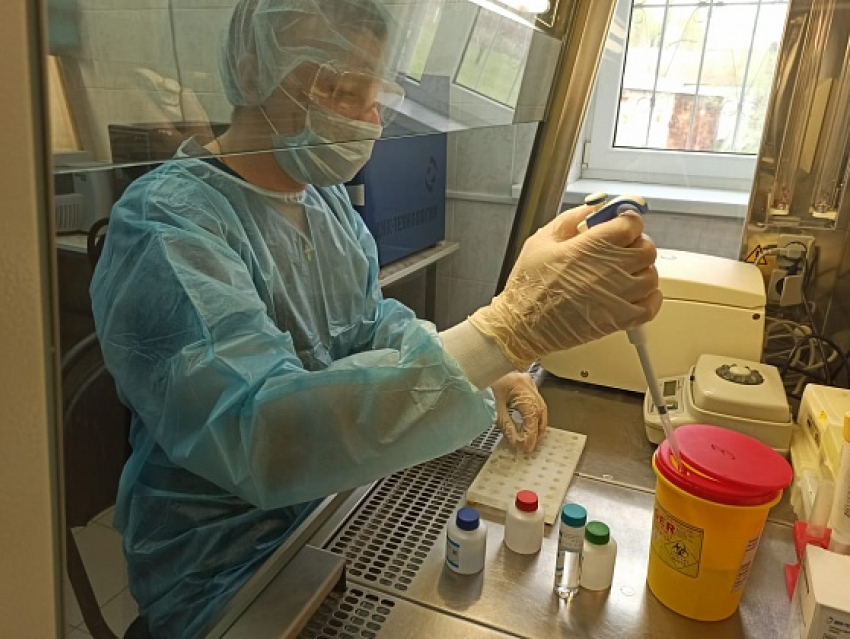 В Волгоградской области число лабораторий для тестирования на коронавирус увеличится до 15