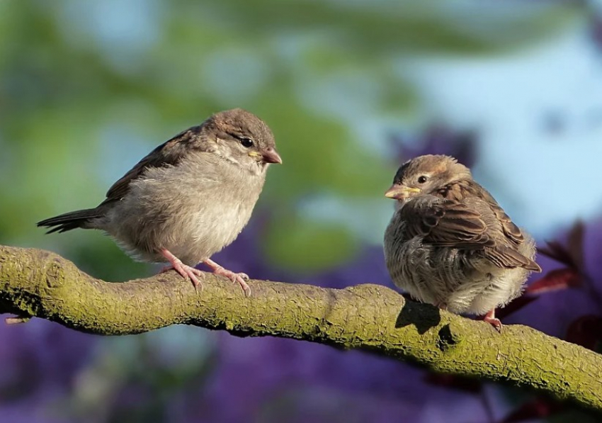 В Волгоград пришла почти безветренная суббота