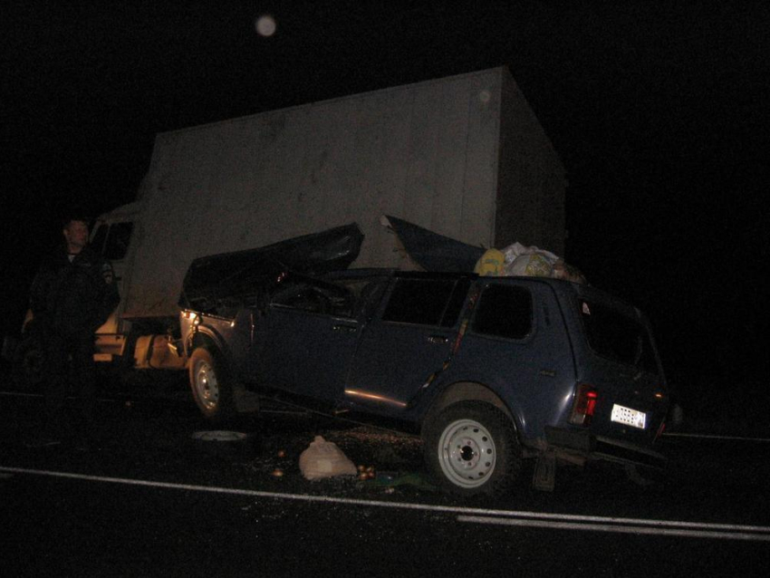 На трассе Волгоград-Сызрань погибла пассажир Нивы