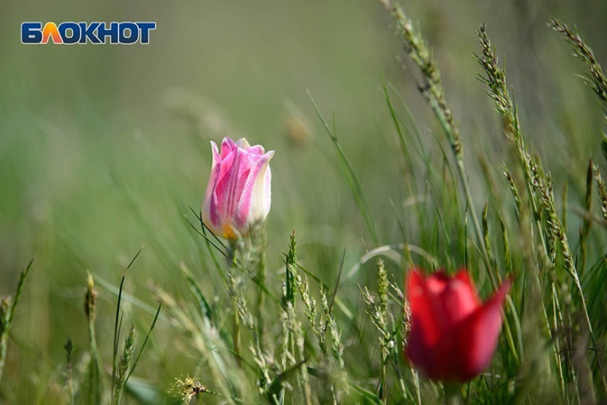 В Волгограде стало немного прохладнее