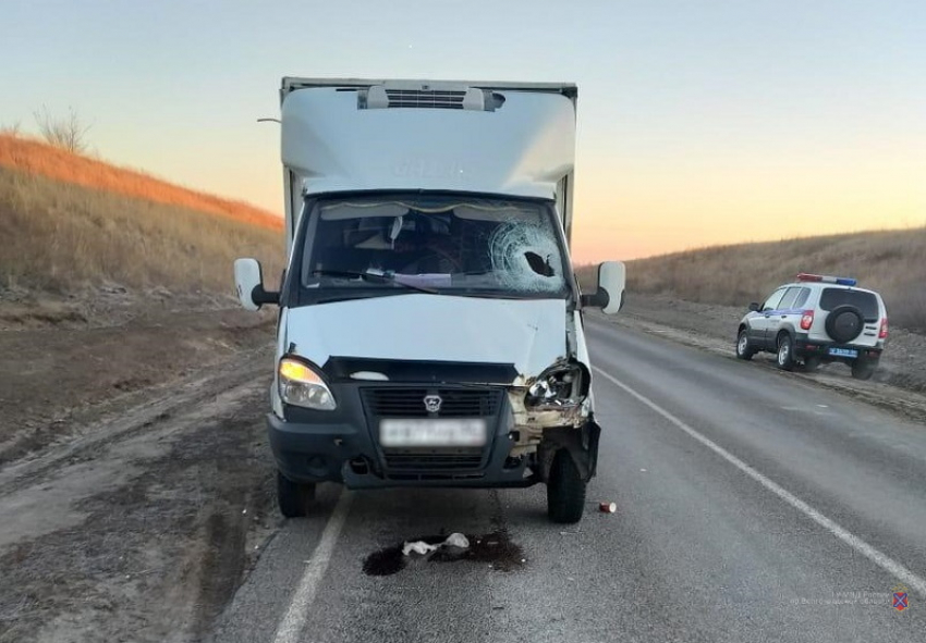 Грузовой фургон сбил пешехода в Волгоградской области: мужчина умер на месте