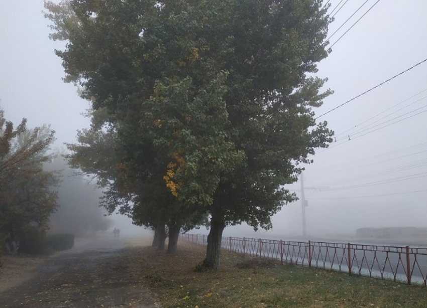 Волгоградцам пообещали туман и изморозь на выходных