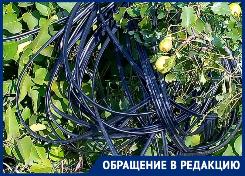 «Сотовой связи нет, телевизор не показывает»: волгоградский хутор оказался без связи с внешним миром