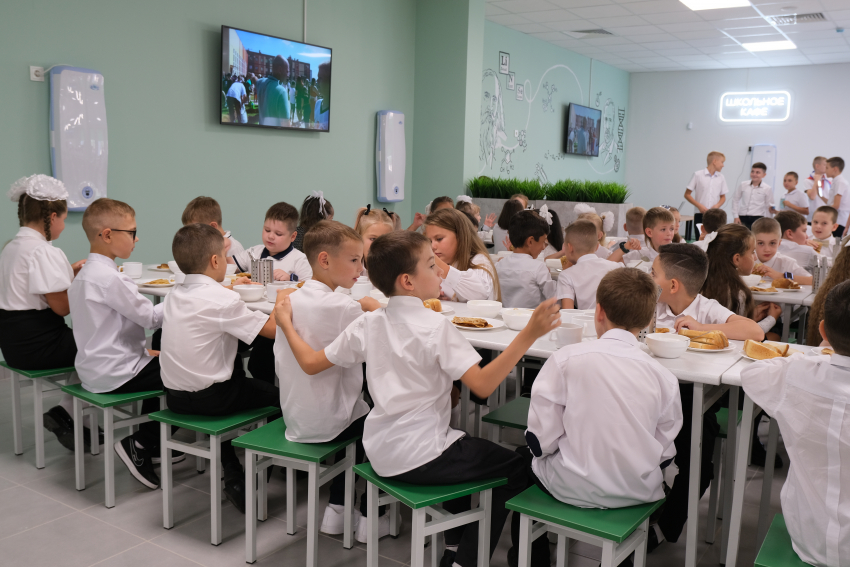 Пришкольный лагерь: что должны знать волгоградские родители