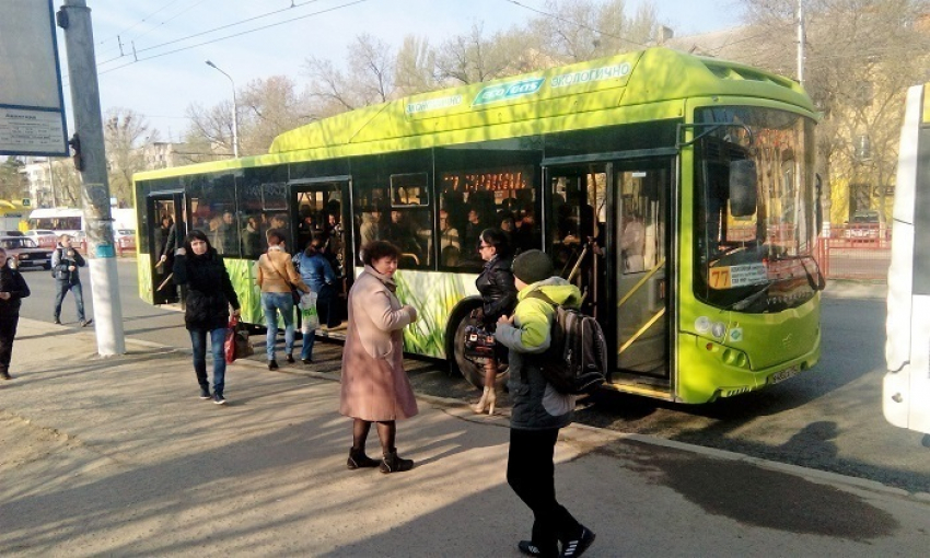 Мэрия: 86 новых остановочных павильонов установят в Волгограде 